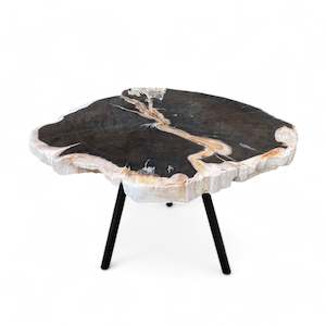 Stone Seats: Luxury Petrified Wood Coffee Side 62cm x 56cm x 40cm (2936)