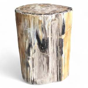 Stone Seats: Luxury Petrified Wood Side Table (Height) 430mm x 310mm x 220mm (1641)
