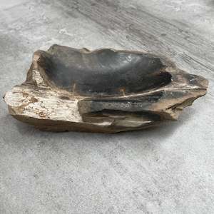 Raw Petrified Wood Natural Stone Luxury Dish & Bowl (PD12)