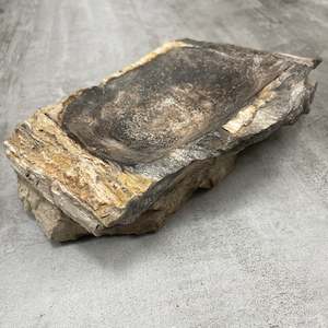 Raw Petrified Wood Natural Stone Luxury Dish & Bowl (PD6)
