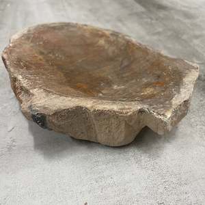 Raw Petrified Wood Natural Stone Luxury Dish & Bowl (PD2)