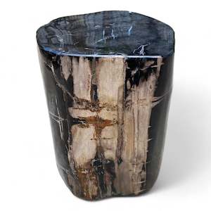 Luxury Petrified Wood Side Table Height 415mm x 300mm x 260mm (2759)