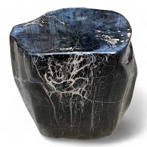 Luxury Petrified  Side Table Height 410mm x 410mm x 320mm (2757)