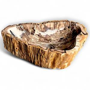 Luxury Petrified Wood Stone Basin 560mm x 350mm x 145mm (1930)