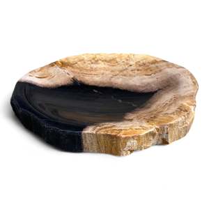 Luxury Petrified Wood Tray Or Mini Platter 155mm x 120mm (2849)