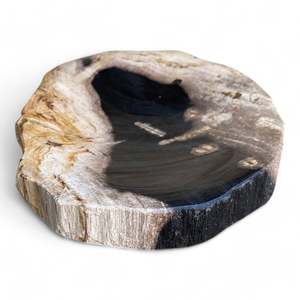 Rare Luxurious Petrified Wood Tray Or Soap Dish 150mm x 120mm (2848)