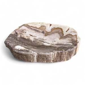 Luxury Petrified Wood Soap Dish: Rare Petrified Wood Tray Or Soap Dish 135mm x 110mm (2846)