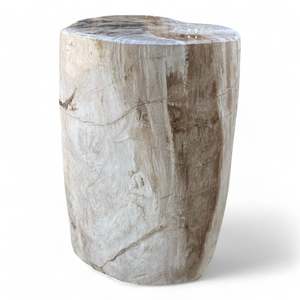 Luxury Petrified Wood Stool 335mm x 265mm x 445mm (2931)