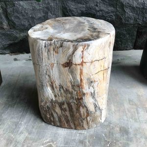 Luxury Petrified Wood Stool 330mm x 280mm x 445mm (2358)
