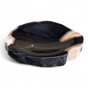 Rare Luxurious Petrified Wood Tray Or Soap Dish 140mm x 120mm (2853)