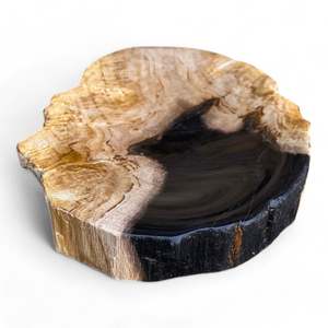 Rare Luxurious Petrified Wood Tray Or Soap Dish 160mm x 120mm (2852)
