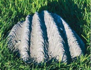Dragonstone: Sea Shell