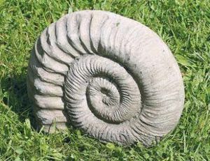 Dragonstone: Small Ammonite