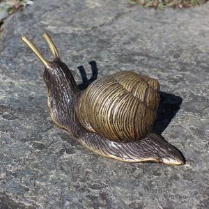 Black Brass Snail