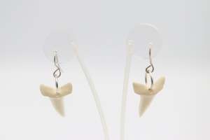Whalebone: Whalebone Shark tooth Earrings