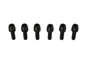 Titanium Stem Bolts - M6