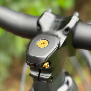 Titanium Top Cap Bolt - M6