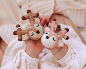 Christmas 2021 Collection: Christmas Ornaments