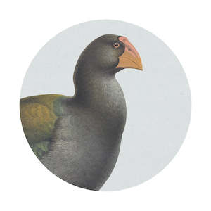 Hushed Blue Takahe Art Spot