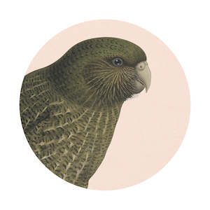 Hushed Birds: Hushed Pink Kakapo Art Spot
