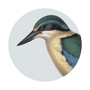 Hushed Birds: Hushed Blue Kingfisher Art Spot
