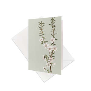 Vintage Flora: Vintage Botanical Manuka Gift Card & Envelope (6 Pack)