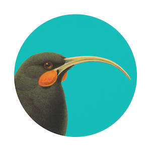 Bright Birds: Bright Huia Art Spot