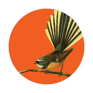 Bright Birds: Bright Fantail Art Spot
