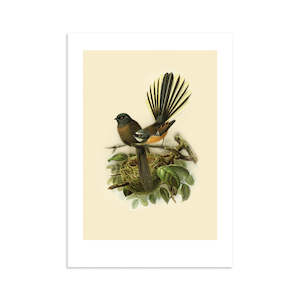 Vintage Bird Prints: Fantail Buller's Bird A4 Print