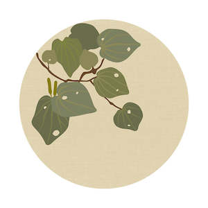 All Collections: Raw Kawakawa Art Spot