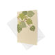 Kawakawa - Mini Gift Card & Envelope (6 Pack)