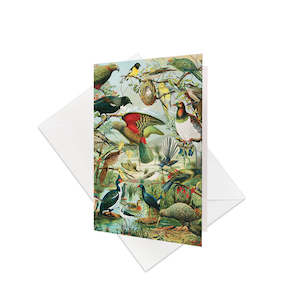 Gift Cards: NZ Native Birds Gift Card & Envelope (6 Pack)