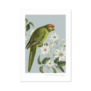 Birds & Botanics Kakariki Print