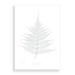 Flora Silver Fern A2 Print