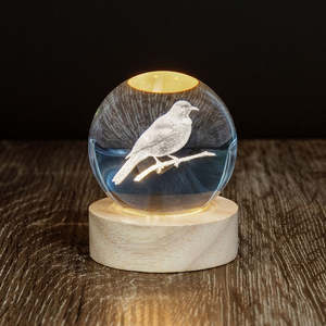 All Homewares: Tui LED Globe