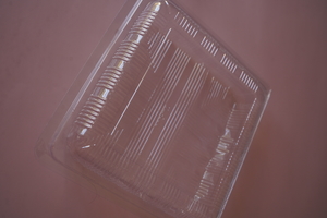 Plastic Square Cake Box - HomeBakes