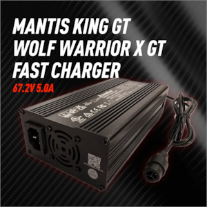 Electric Scooter Parts: Mantis King GT/Wolf Warrior X GT Fast Charger
