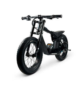E Rides For Kids: STACYC 16hDRIVE - Electric Balance Bike