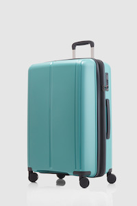 Birch Check-In 65cm Suitcase