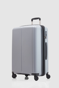Birch Check-In 65cm Suitcase