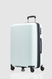 Birch Check-In 65cm Suitcase