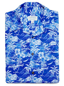 Products: Aloha 21 Azure strangelynormal