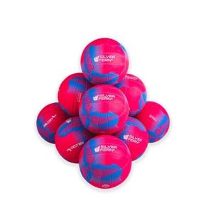 10 x Silver Fern Falcon Netball Size 5 Kit