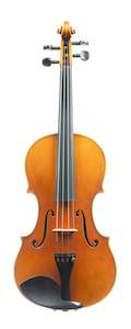 Violins: Mitchell McCarthy violin, Auckland, 2024