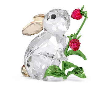 Crystal Living: IDYLLIA RABBIT AND RASPBERRIES