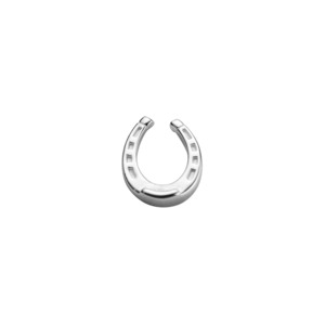 Charm: LUCKY HORSESHOE - GOOD LUCK STOW CHARM