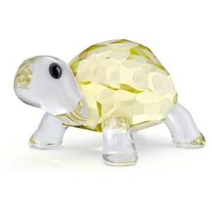 Crystal Living: IDYLLIA BABY TORTOISE