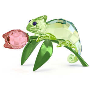 Crystal Living: IDYLLIA CHAMELEON AND TULIP