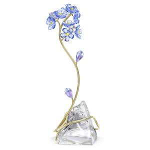 FLORERE FORGET-ME-NOT