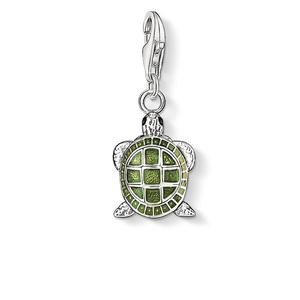 Charm: CHARM CLUB TURTLE CHARM
